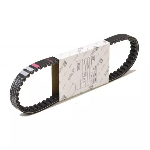 [1A013579] CINGHIA TRAPEZOIDALE